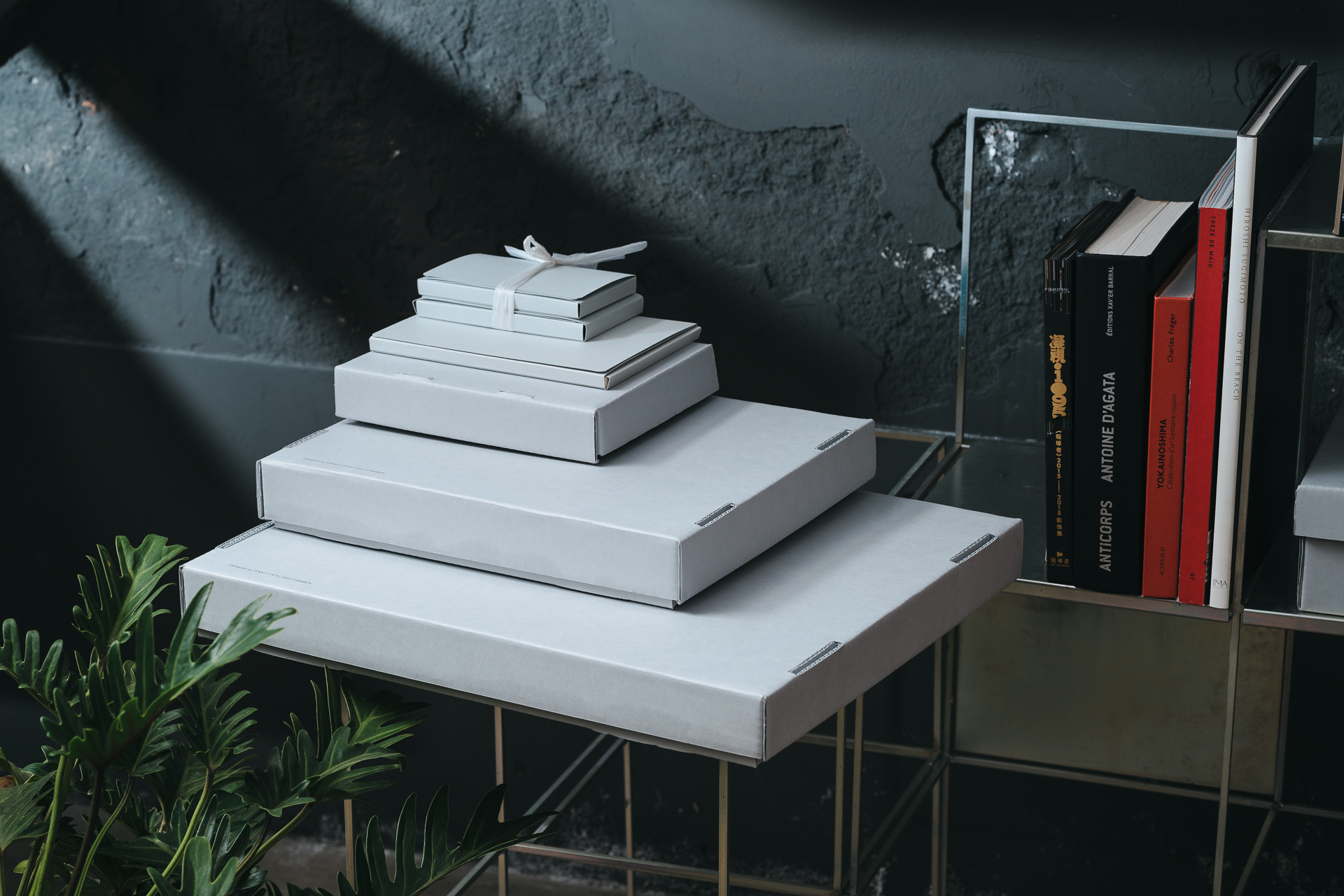 AcidFree Box 無酸盒 FENKO CATALYSIS CHAMBER